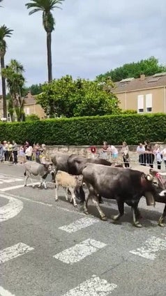 La pasá por Santander