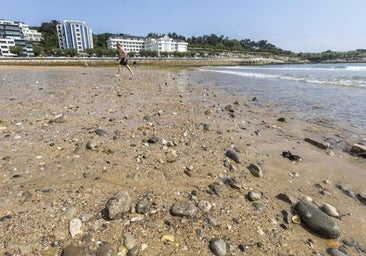 La bajamar en la Segunda de El Sardinero revela miles de piedras a causa de la falta de arena.
