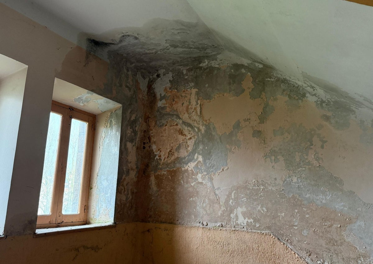 Imagen secundaria 1 - Suelos podridos por las fugas, humedades en las aulas y un puntal en una parte de la balconada con la carpintería podrida. 