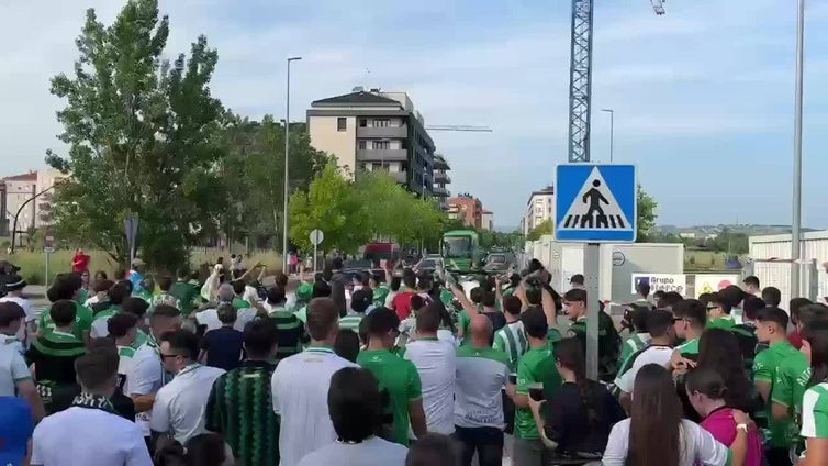 Miranda ya es verdiblanca