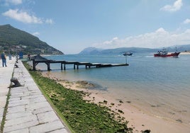 Estado de la playa a la altura del embarcadero de Santoña.