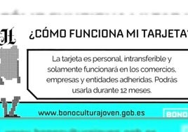 Los casi 6.000 cántabros nacidos en 2007 pueden solicitar ya su Bono Cultural