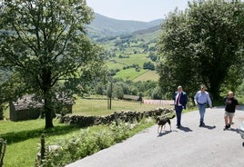 Fomento licitará por 800.000 euros la mejora del acceso a tres localidades de San Pedro del Romeral