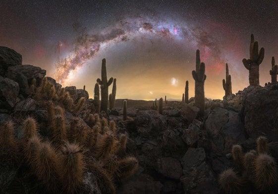 La imagen 'Valle de los cactus', realizada en el desierto de Atacama (Chile) y seleccionada por el 'Milky Way Photographer of the Year'.