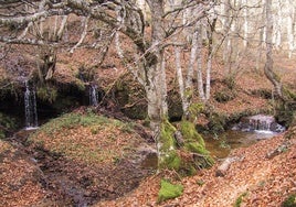 Monte Hijedo