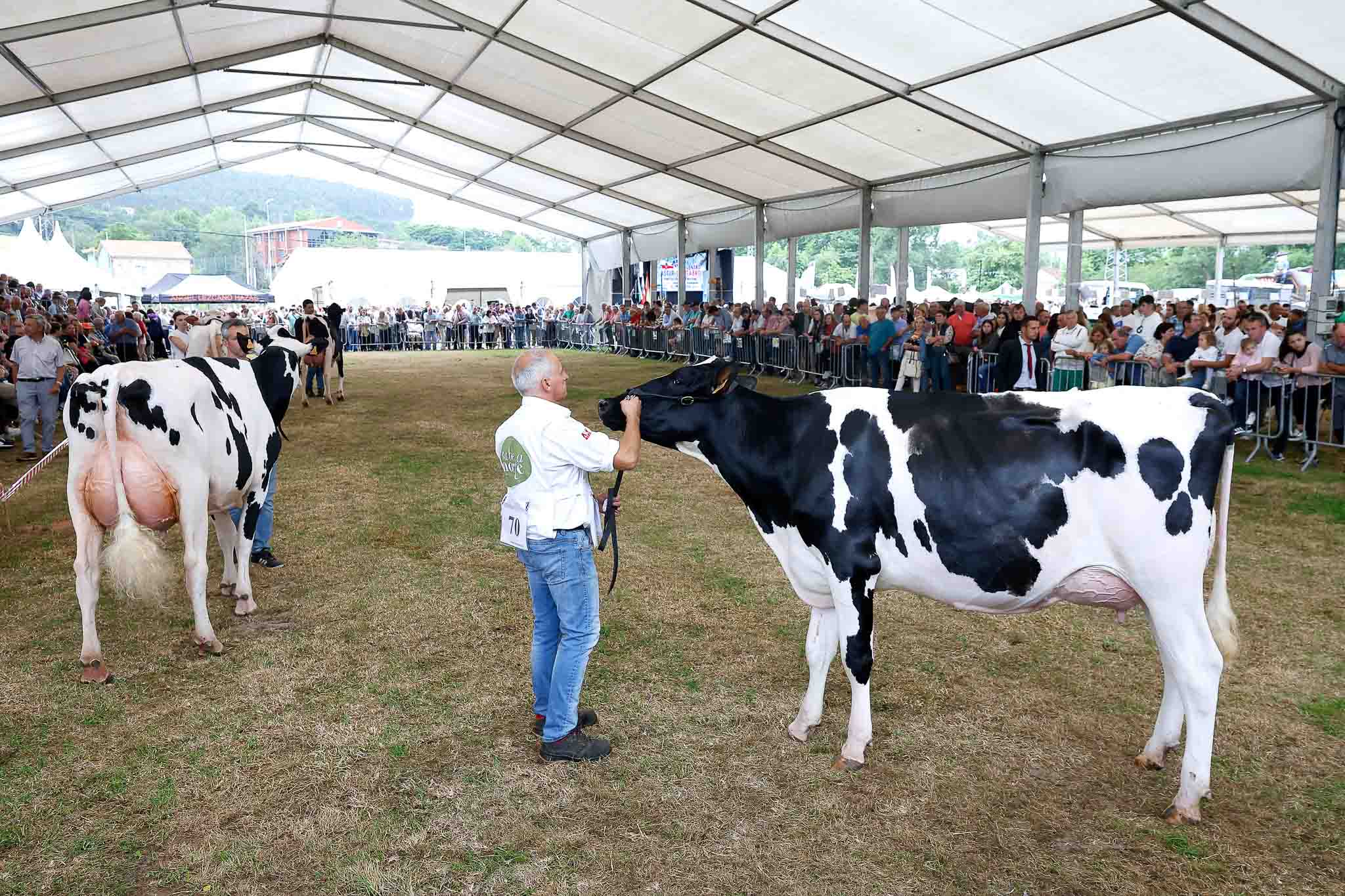 También tuvo lugar la 148 edición del concurso-exposición de San Antonio.