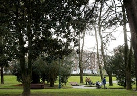 Los árboles del parque Manuel Barquín.