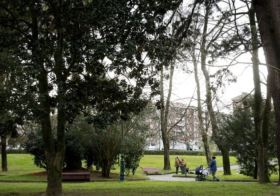 Los árboles del parque Manuel Barquín.