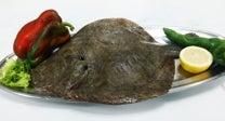 Marisquería Acuario