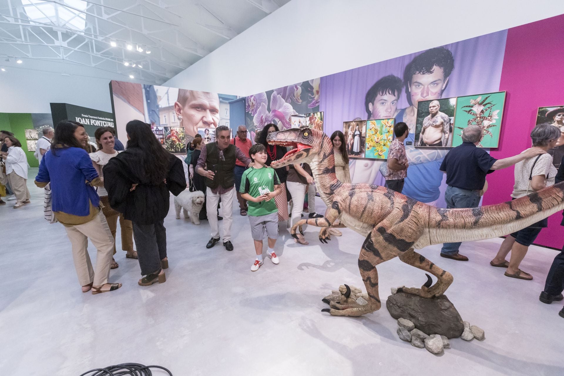 Una de las secciones de la exposición de Fontcuberta en la que se muestran imágenes y detalles de varias de sus series.