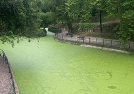 Mataleñas, verde otra vez