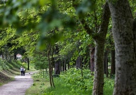 Vecinos caminan por una de las sendas principales del parque de Las Tablas, espacio de deporte y paseo para muchos torrelaveguenses.