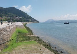 Estado de la playa de El Pasaje de Santoña.