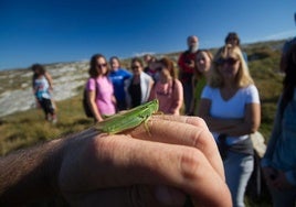 Las actividades también involucran a adultos y colectivos específicos, acercando la biodiversidad del entorno a todos los públicos.