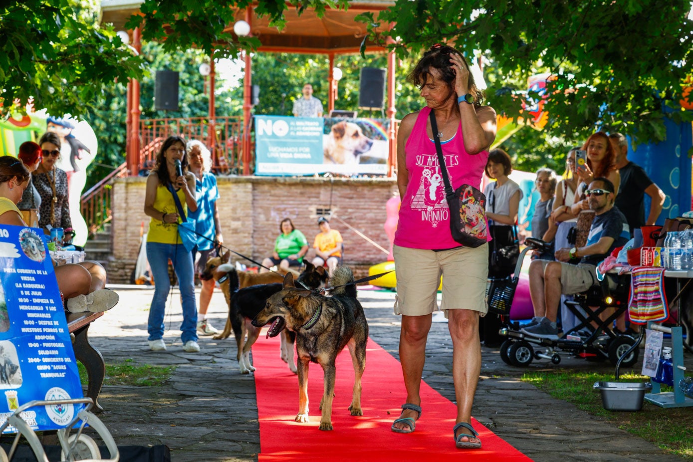 En España se abandonan aproximadamente 150.000 animales todos los años, según la Fundación Affinity.