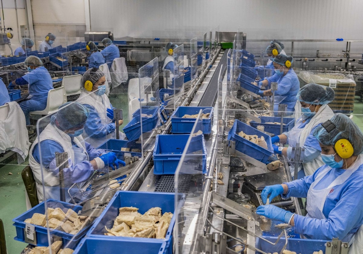 Trabajadoras del Grupo Consorcio en Santoña, con las pertinentes medidas en la época de la pandemia.
