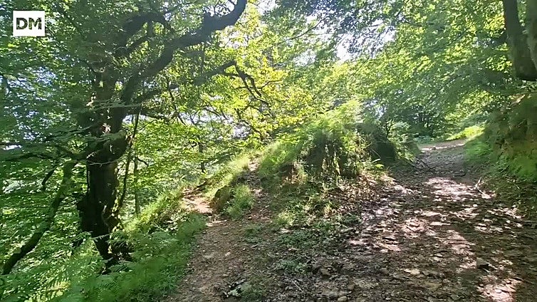 Una ruta hecha de tranquilidad por el Hayal de Aloños