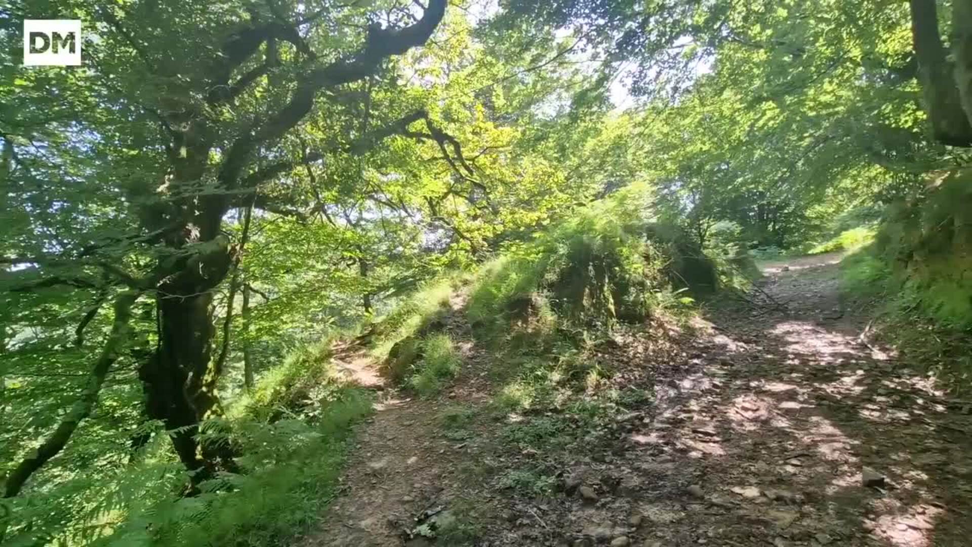 Una ruta hecha de tranquilidad por el Hayal de Aloños