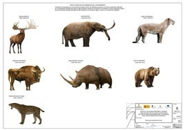 Proyecto de las esculturas de animales del Cuaternario.