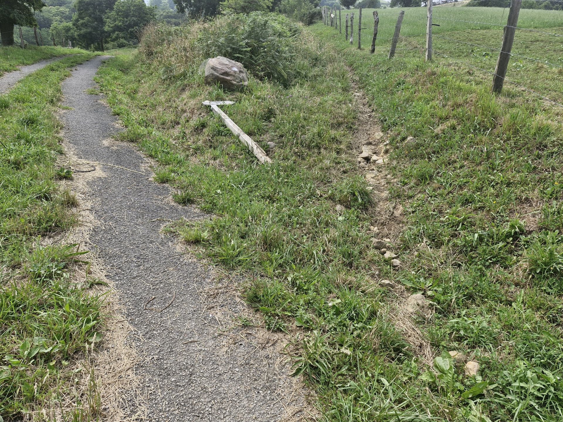 Es importante no despistarse en este desvío. Hay que coger ese pequeño sendero paralelo al cercado. Seguir de frente obliga a franquear cercados electrificados y pasar por un tramo de bosque lleno de barro.