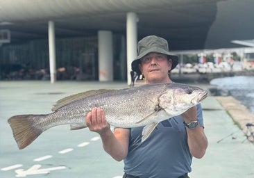 José Luis Alonso Fernández posa, este domingo, con la corvina que ha pescado junto al Centro Botín.