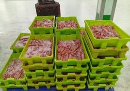 Las cajas de cigalas sin documentación fueron precintadas en la lonja de La Coruña y después entregadas a un centro benéfico.