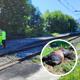 Imagen principal - Un tren arrolla a un toro y corta dos horas el paso de trenes de Las Fraguas a Bárcena de Pie de Concha