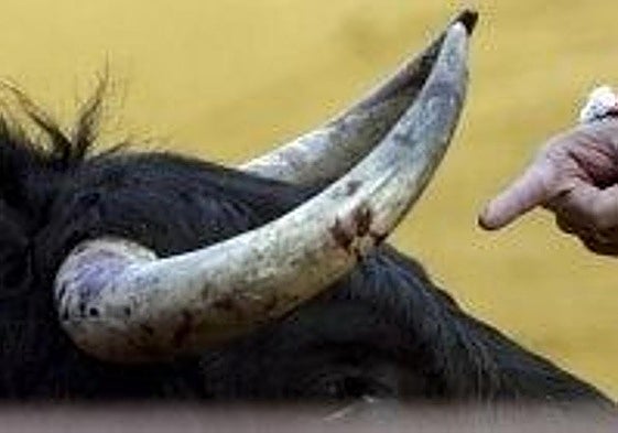 Miuras en un martes 'remember'