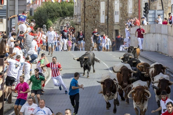 Encierro en las fiestas de Ampuero.