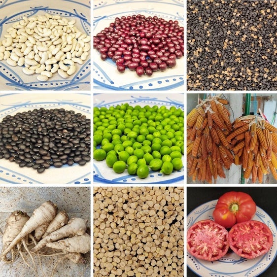 Un patrimonio alimentario a partir de 41 variedades tradicionales