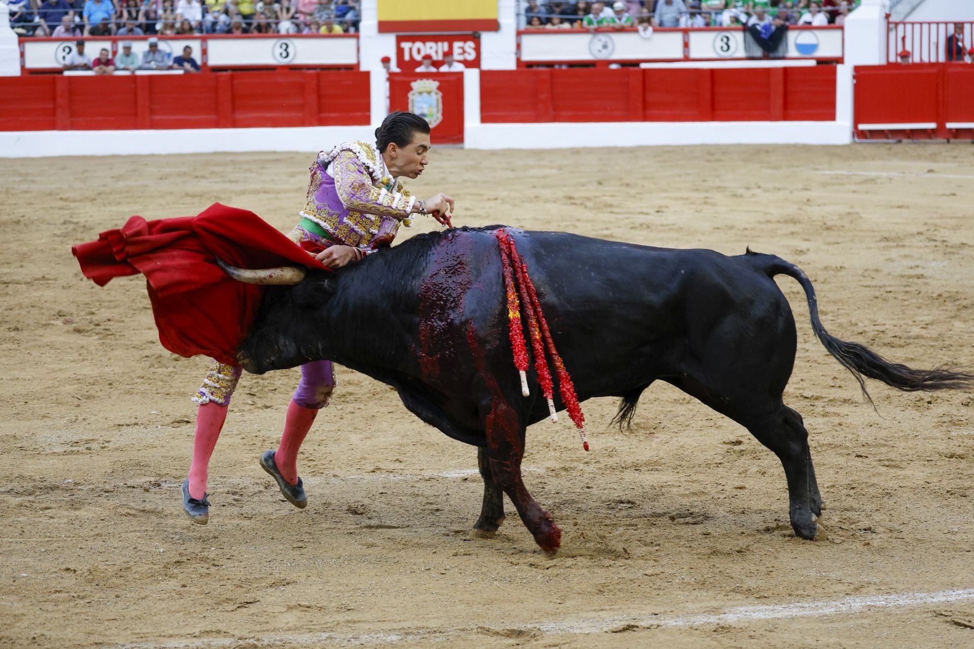 Bruno Aloi resulta cogido al entrar a matar al quinto de la tarde.