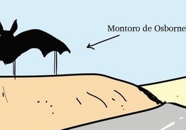 Siluetas