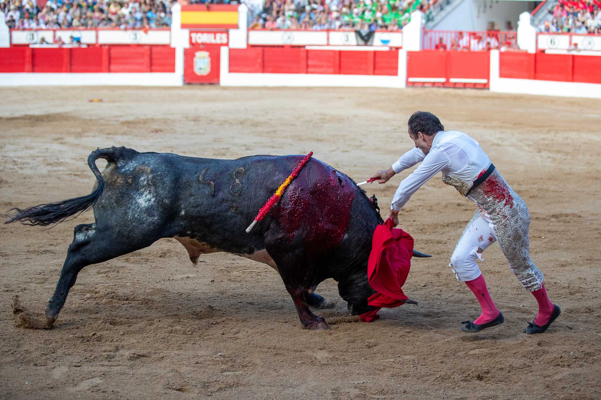 Estocada de Castaño al tercero del festejo.