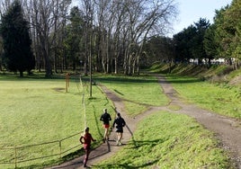El parque de Las Tablas, conocido popularmente como El Patatal.