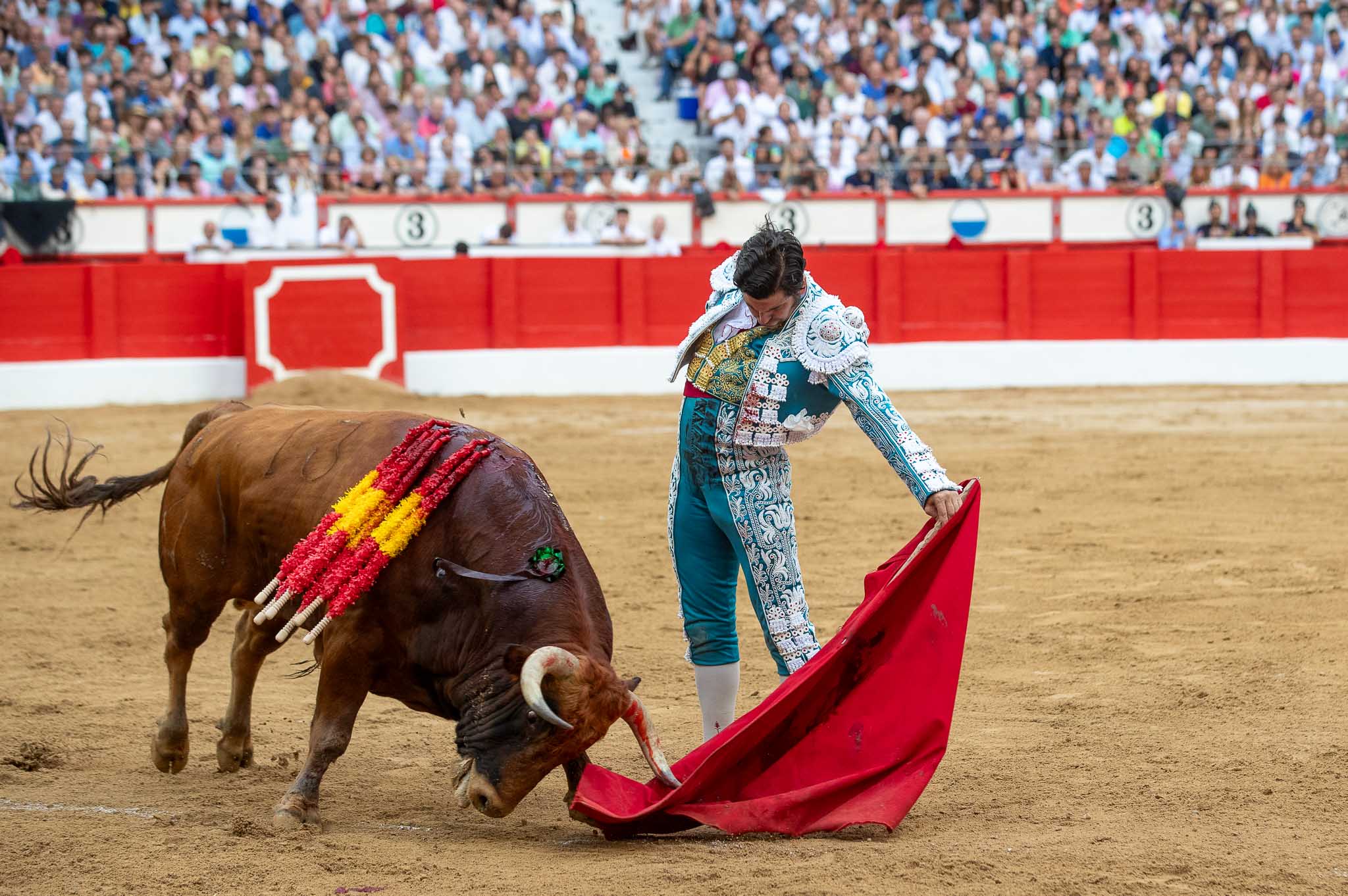 Otro natural de Morante.