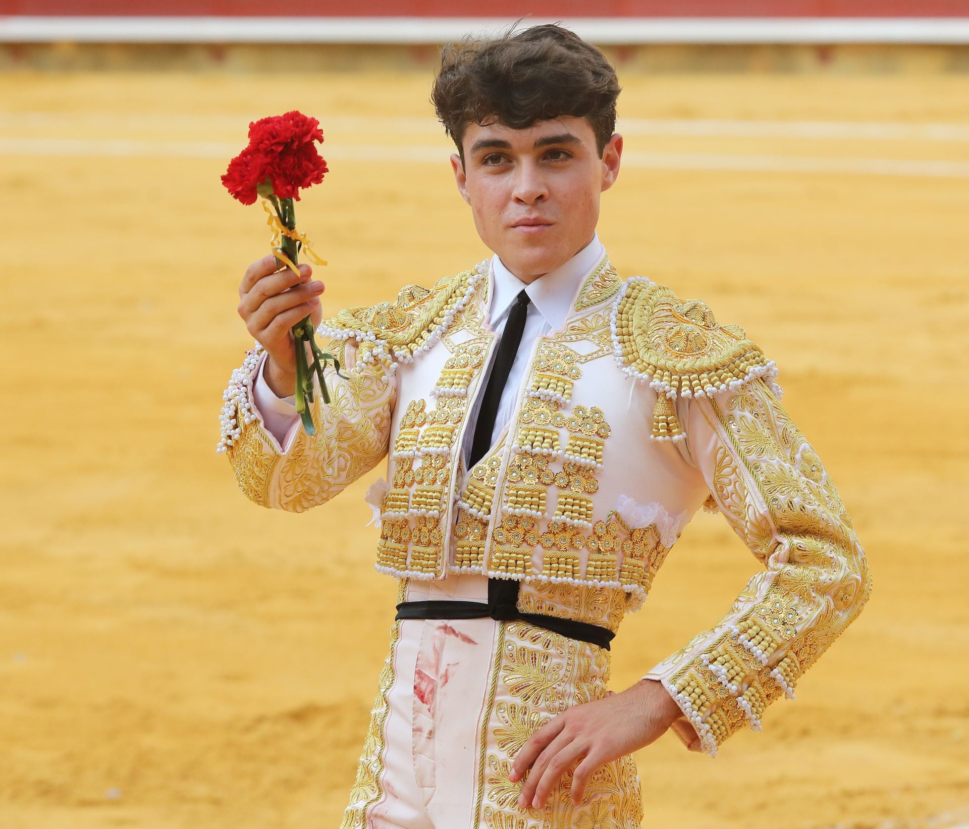 Jarocho, en la plaza de toros de Palencia.