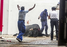 Toro de Torrealta que se escapó de los chiqueros en 2006.