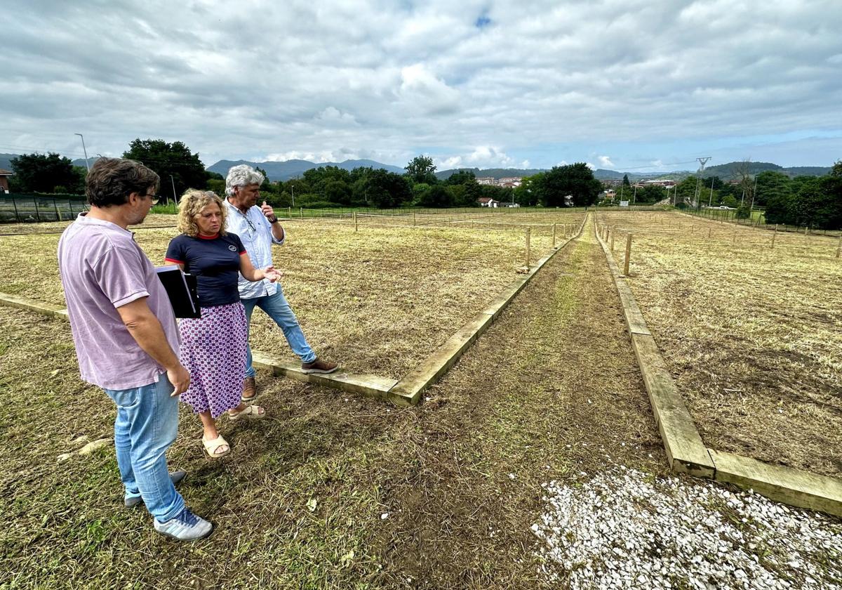 La edil de Medio Ambiente, Patricia Portilla, y técnicos del área, en los nuevos huertos de Sierrapando.