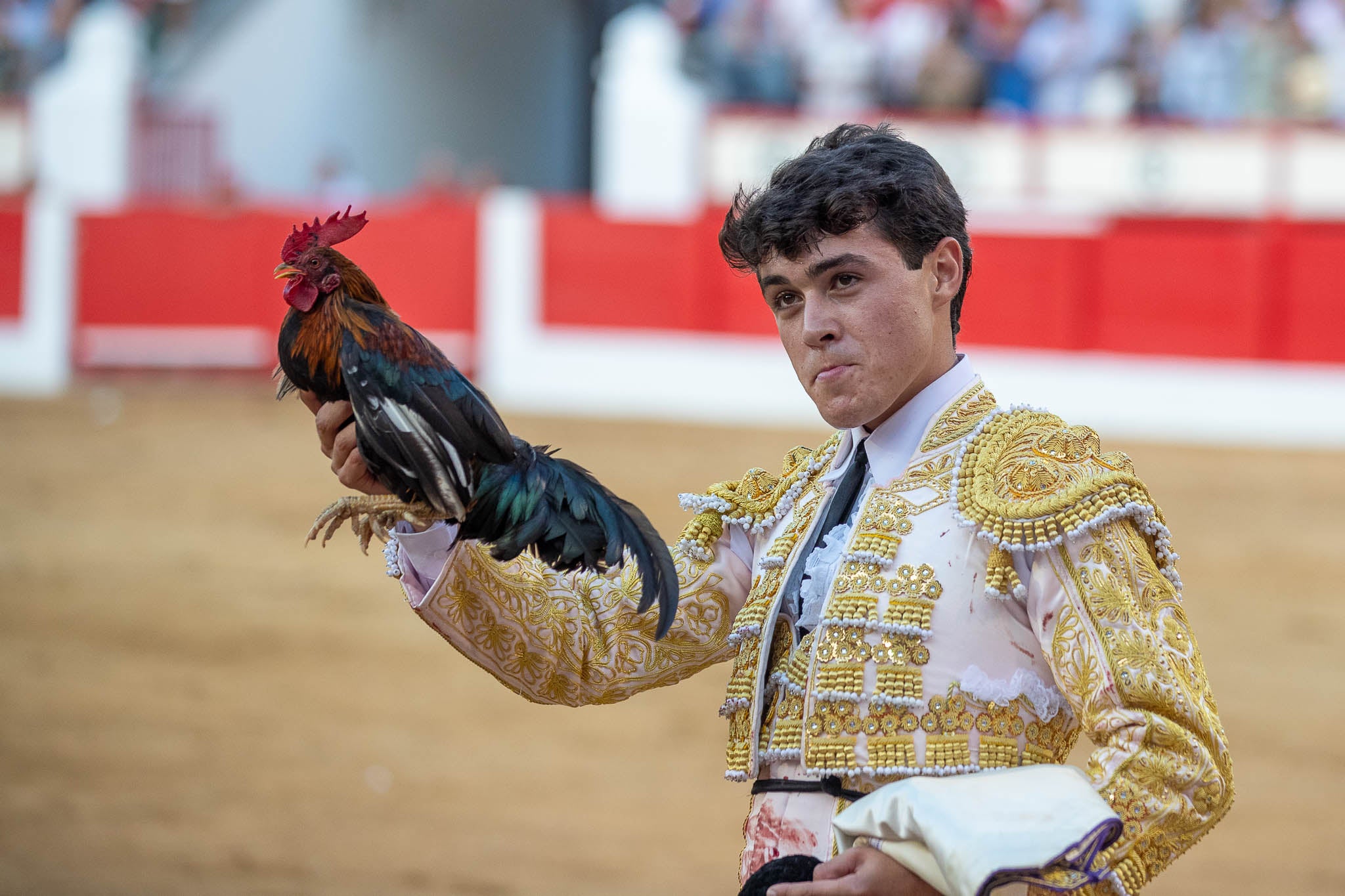 Jarocho con un gallo que le tiraron desde el tendido durante la vuelta al ruedo.