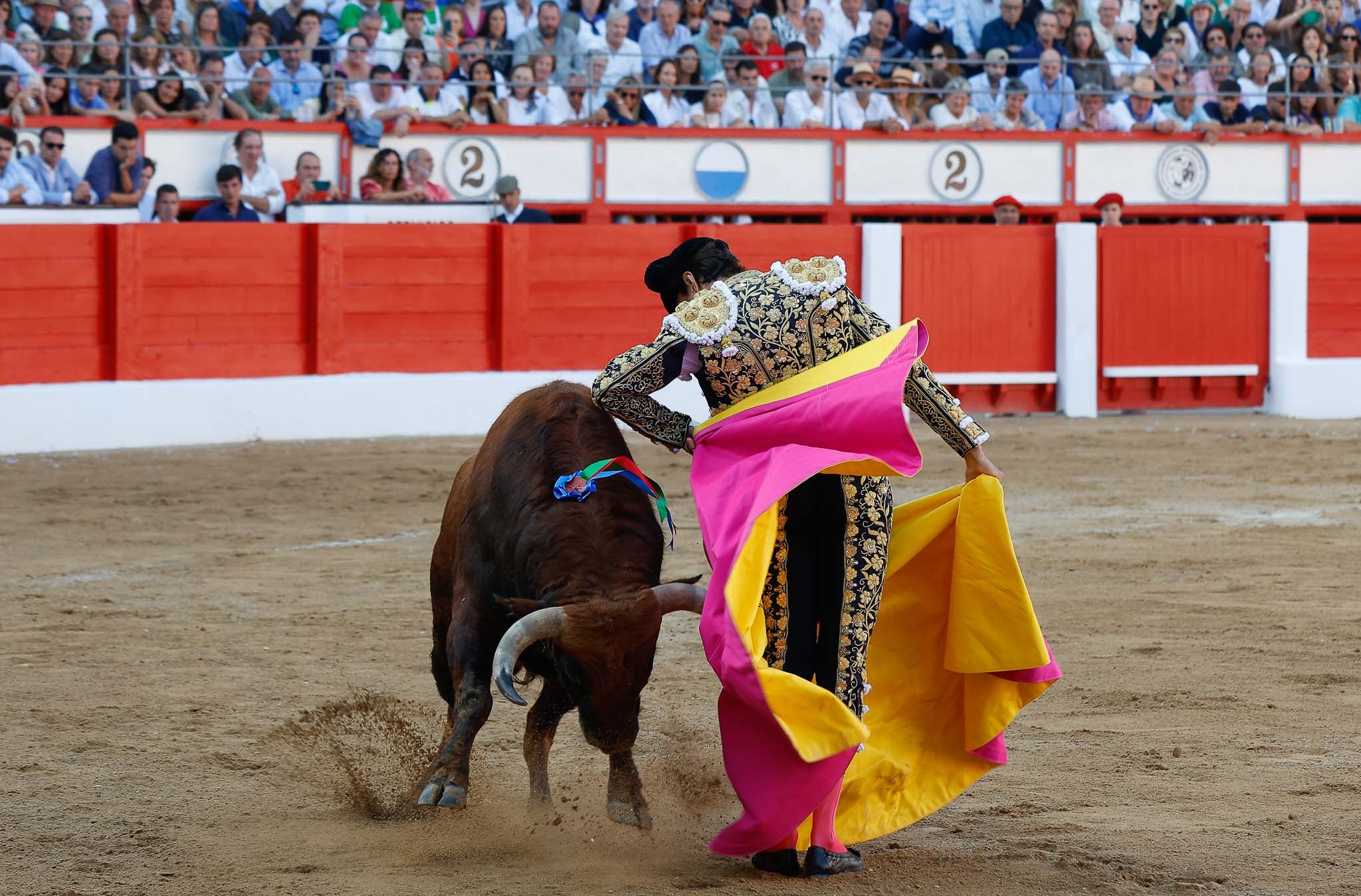 Chicuelina de Roca Rey. 