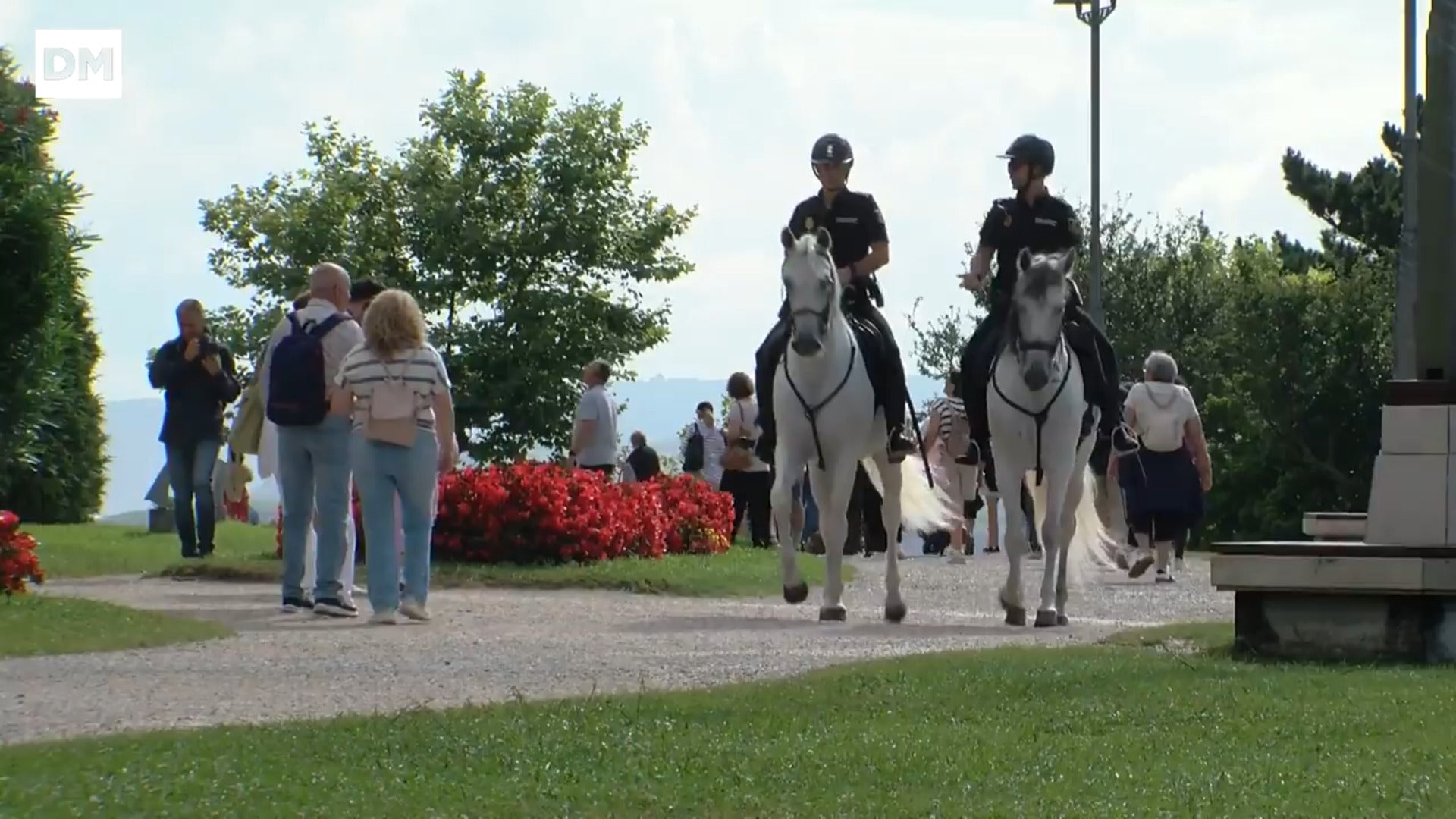 Patrulla a caballo