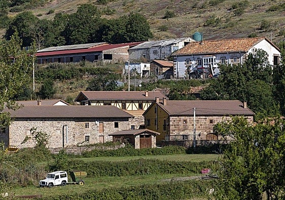 La jueza impone una orden de alejamiento al autor del atropello con un tractor en Ormas