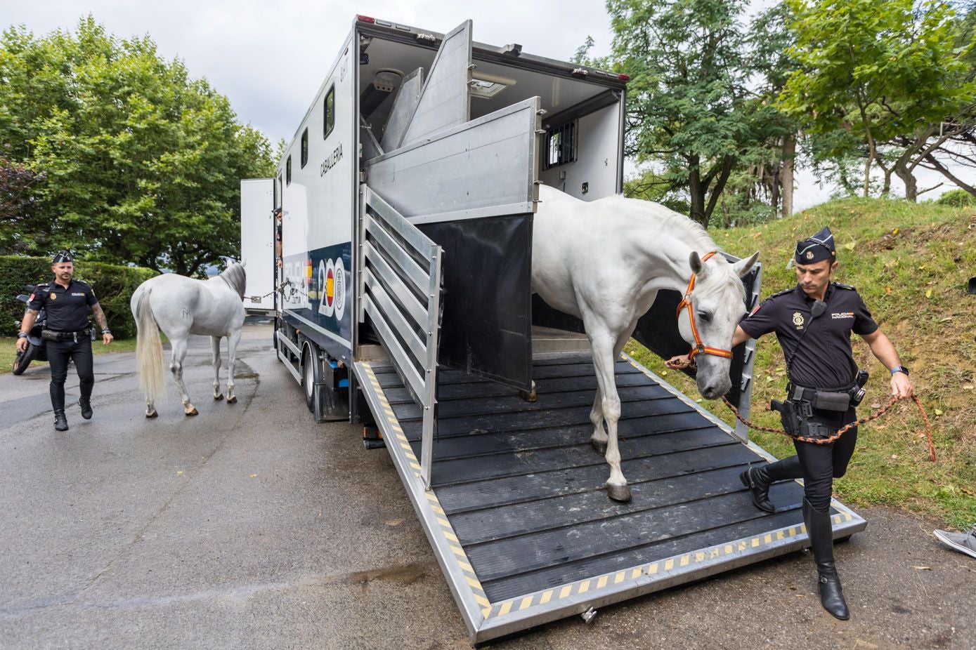 Los caballos viajan en el camión de la Unidad Especial de Caballería. 