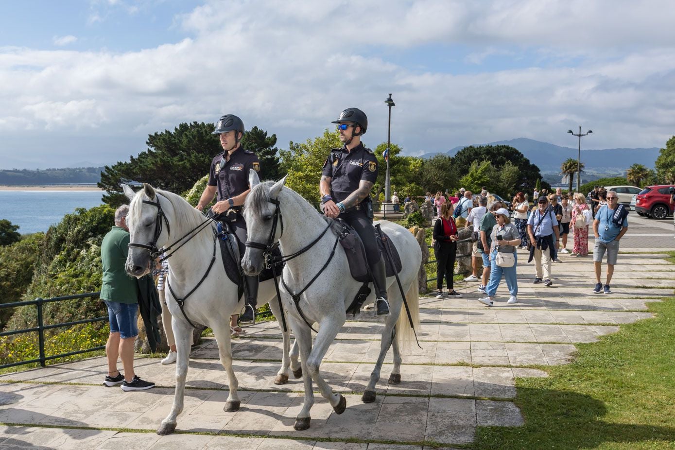 La gente se para a contemplar a los agentes cuadrúpedos.