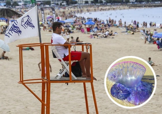 Cuando aparecen medusas, Cruz Roja iza una bandera específica de alerta