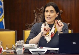 El PSOE desentierra la polémica por la «manipulación» del currículo de Gema Igual