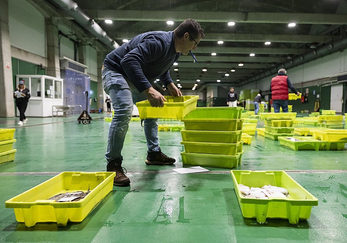 Trabajos con el pescado recién llegado a la Lonja de Santander.