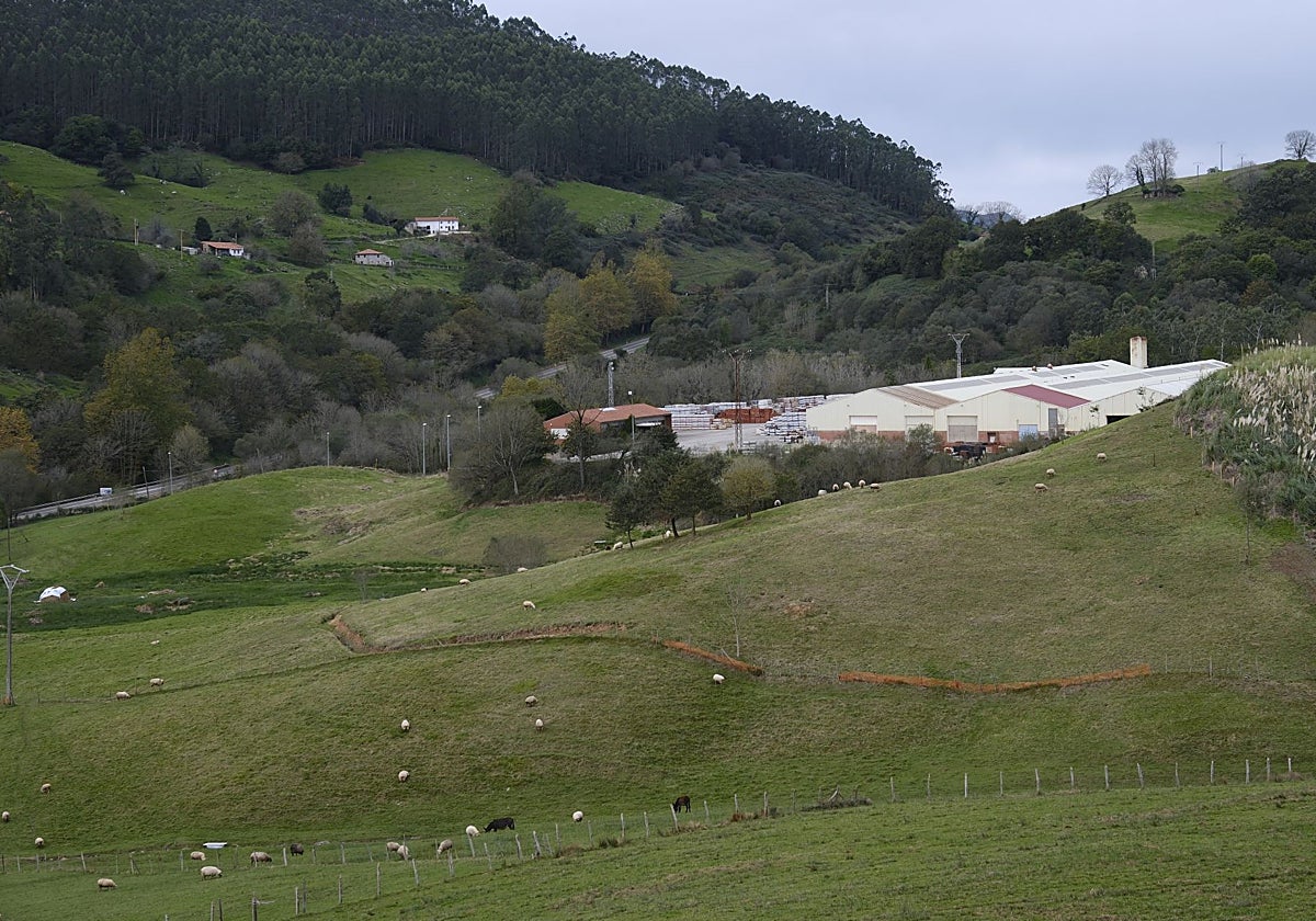 Terrenos en los que se estudia instalar la planta de biogás.