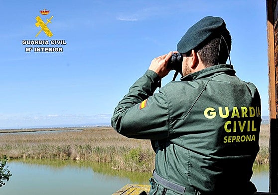 Un agente del Seprona realiza labores de vigilancia de la flora y la fauna.