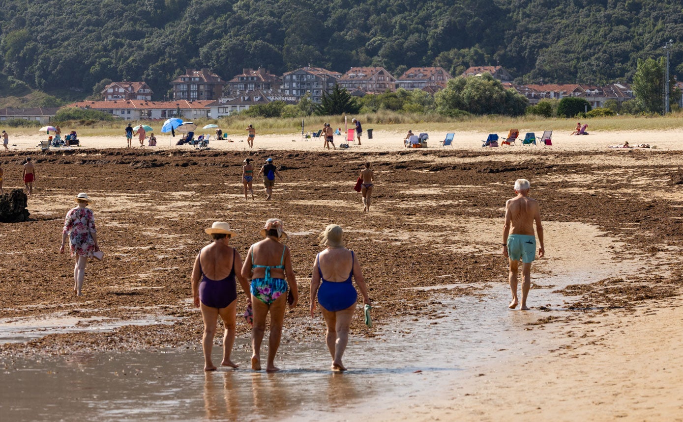La extensión recorre kilómetros de playa, y hay todavía más en el agua.